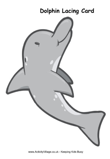 Dolphin lacing card