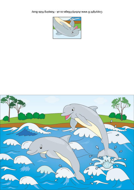Dolphins card Dolphins card
