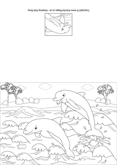 Dolphins colouring card