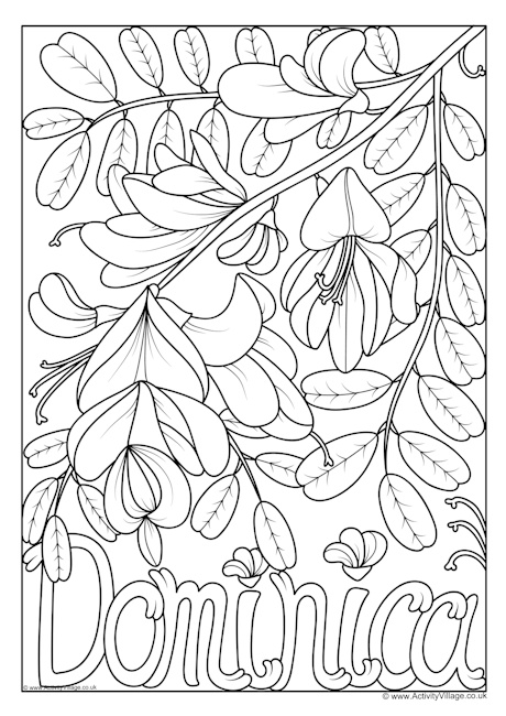 Dominica National Flower Colouring Page Dominica National Flower Colouring Page