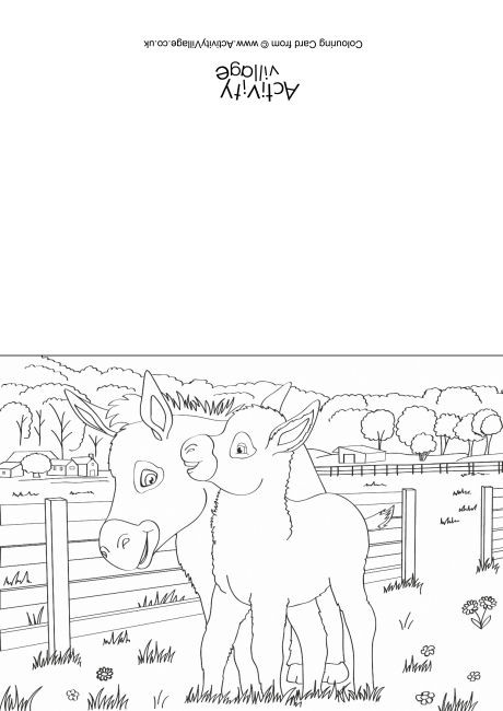 Donkeys Scene Colouring Card