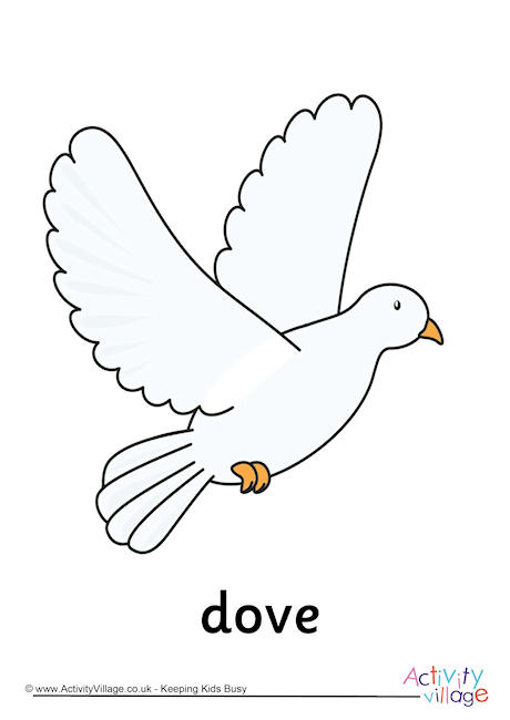 Dove Poster