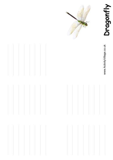 Dragonfly booklet Dragonfly booklet