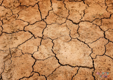 Drought poster