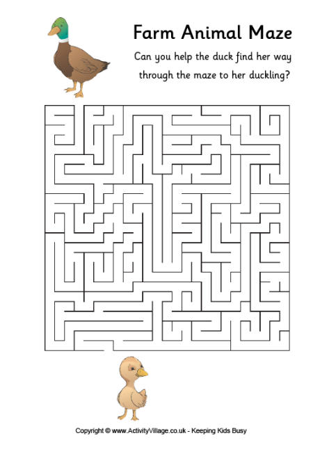 Duck maze