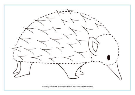 Echidna tracing page