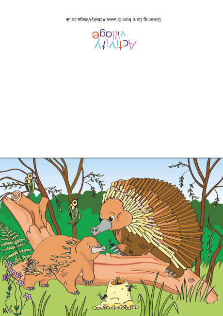 Echidnas Scene Card
