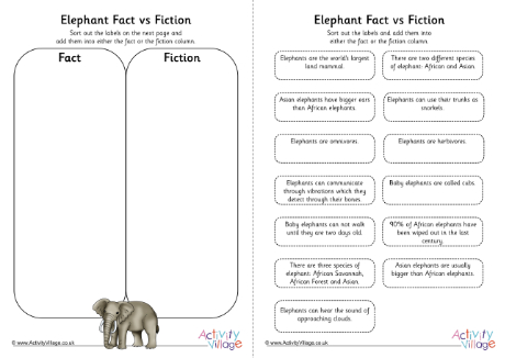 Elephant Fact vs Fiction Elephant Fact vs Fiction