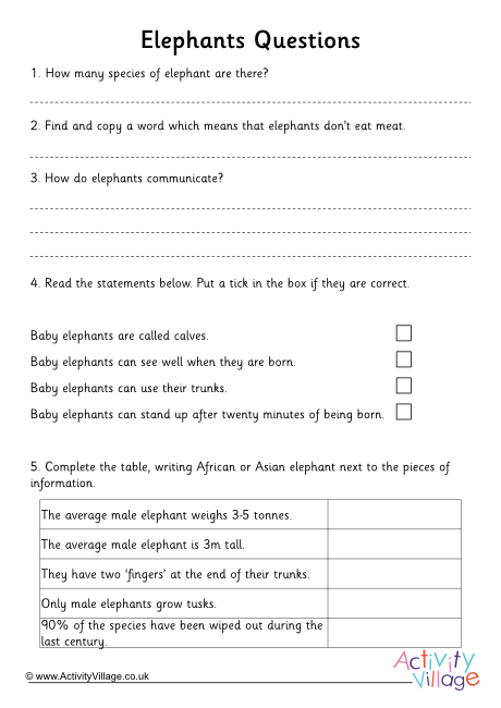 Elephant comprehension questions