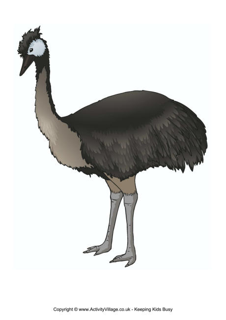 Emu poster