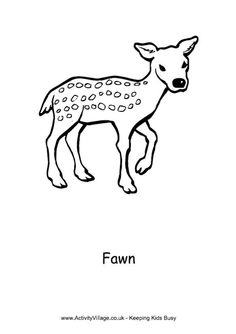 Fawn Colouring Page 2