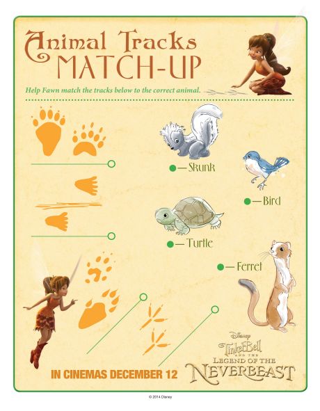 Fawn's animal tracks match up