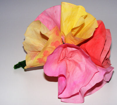 Filter paper bouquet