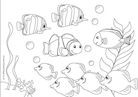 Fish Scene Colouring Page