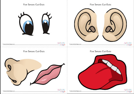 Five senses cut outs - large