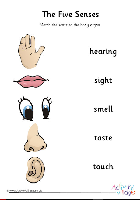 Five senses matching worksheet