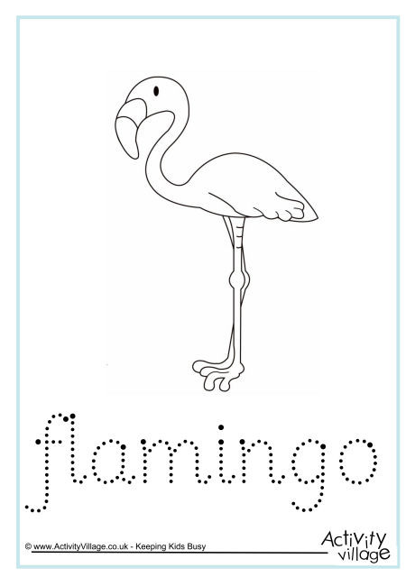 Flamingo Word Tracing