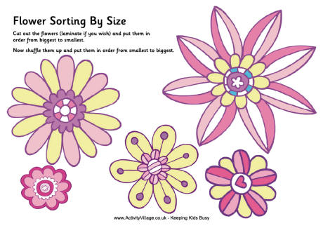 Flower sorting by size
