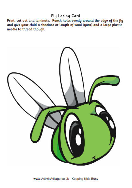 Fly lacing card