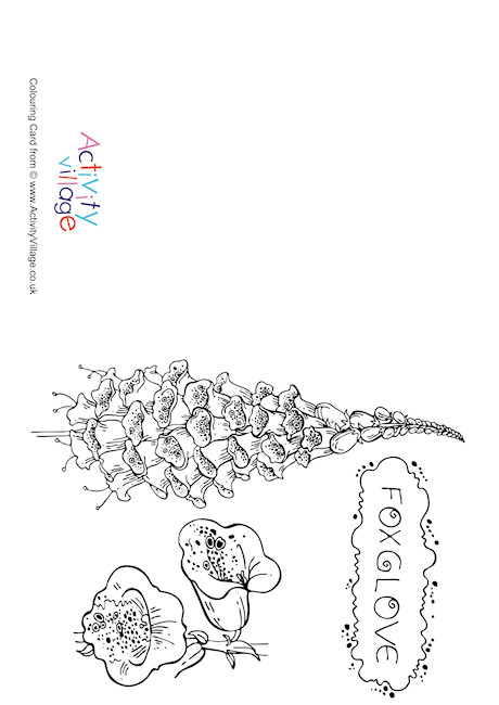 Foxglove Colouring Card