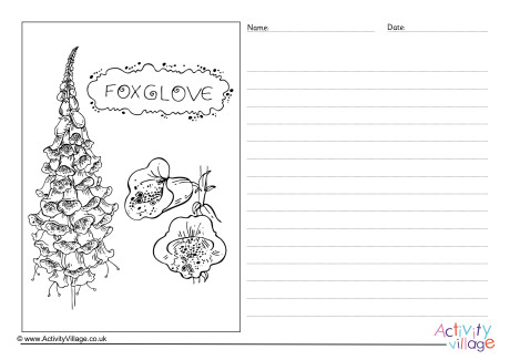 Foxglove Story Paper Foxglove Story Paper