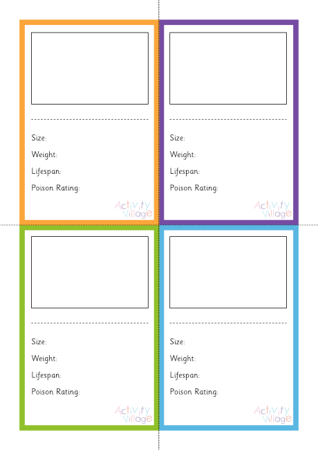 Frog Flashcards