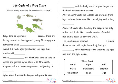 Frog Life Cycle Cloze
