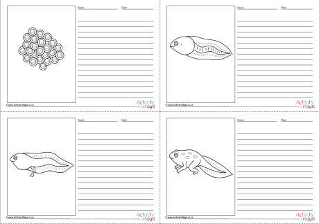 Frog Life Cycle Story Paper Set - Blank Frog Life Cycle Story Paper Set - Blank