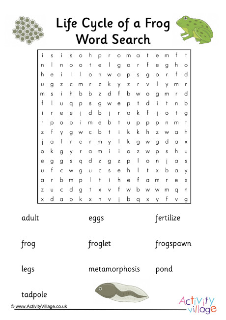 Frog Life Cycle Word Search