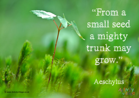 From a small seed poster From a small seed poster