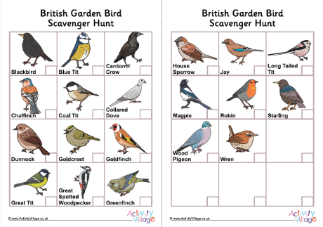 Garden Bird Scavenger Hunt