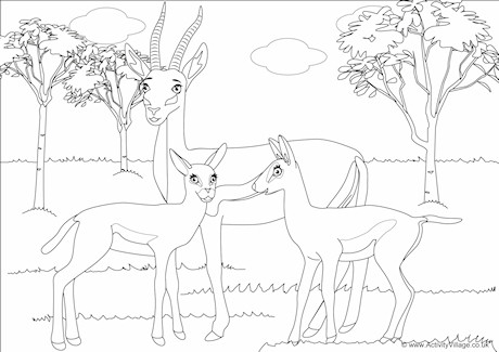 Gazelles Scene Colouring Page