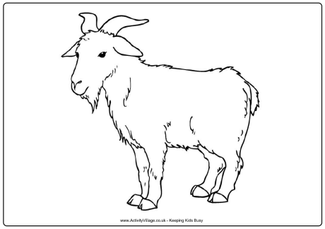 Goat colouring page 3