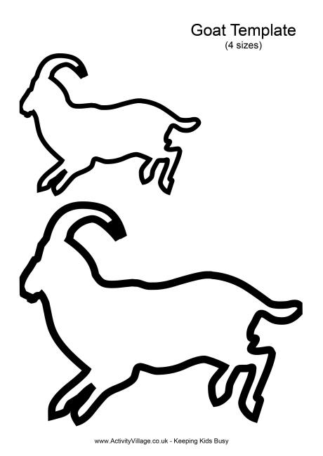 Goat template