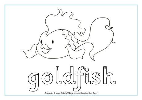 Goldfish finger tracing