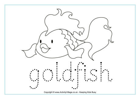 Goldfish tracing