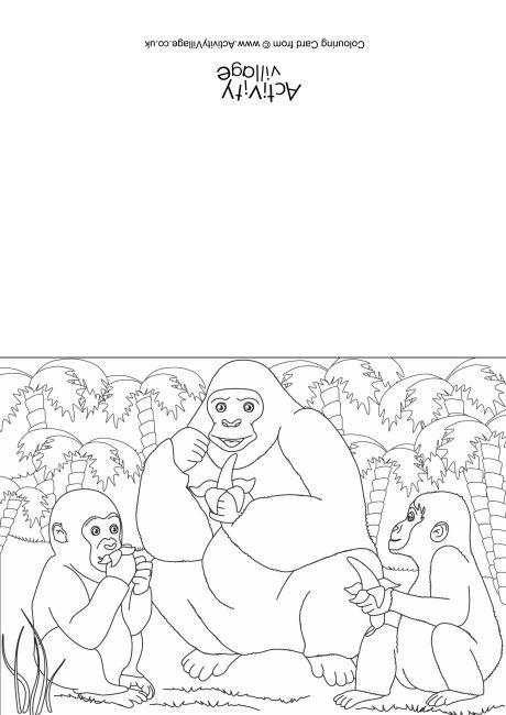 Gorillas Scene Colouring Card