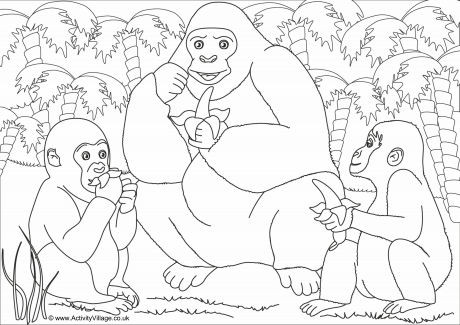 Gorillas Scene Colouring Page