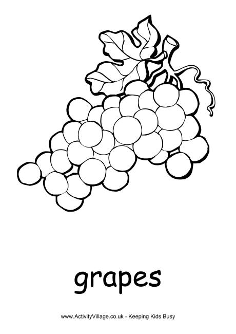 Download Grapes Colouring Page