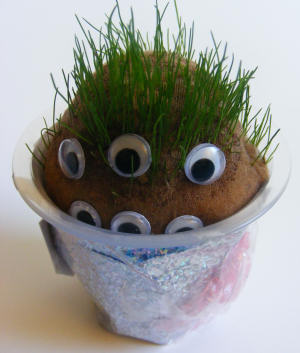 Growing Cress Heads - Messy Little Monster