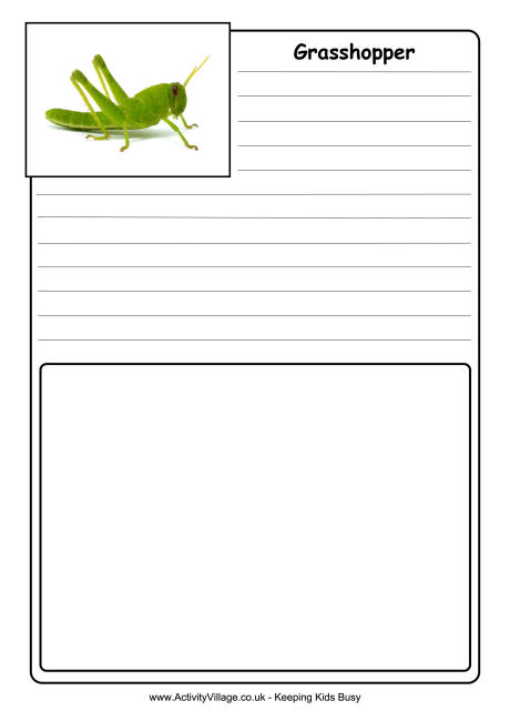 Grasshopper notebooking page