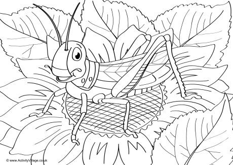 Grasshopper Scene Colouring Page