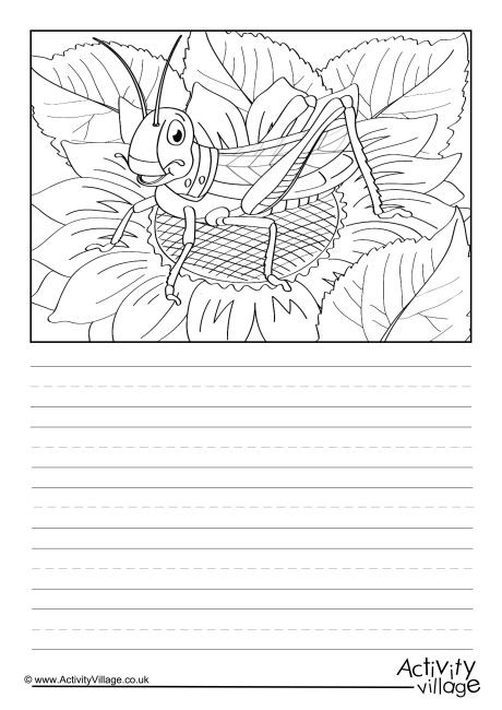 Grasshopper Scene Story Paper
