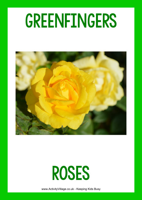 Greenfingers Garden Centre roses poster