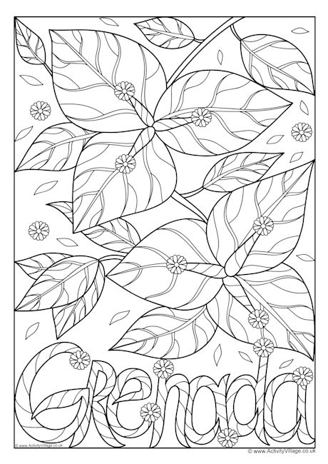 Grenada national flower colouring page