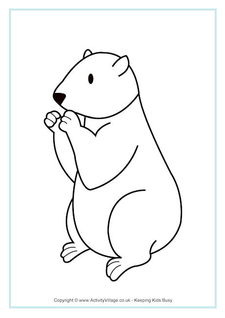 Groundhog colouring page
