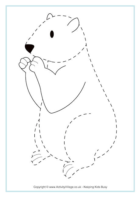 Groundhog Tracing Page