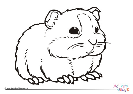 Guinea Pig Colouring Page 4