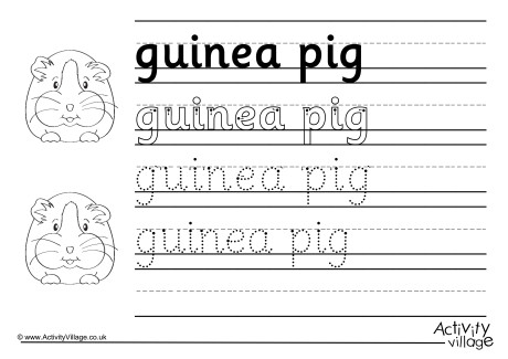Guinea Pig Handwriting Worksheet