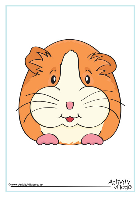 Guinea Pig Poster